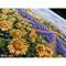 Merejka Fields of Lavender & Sunflowers Counted Cross Stitch Kit